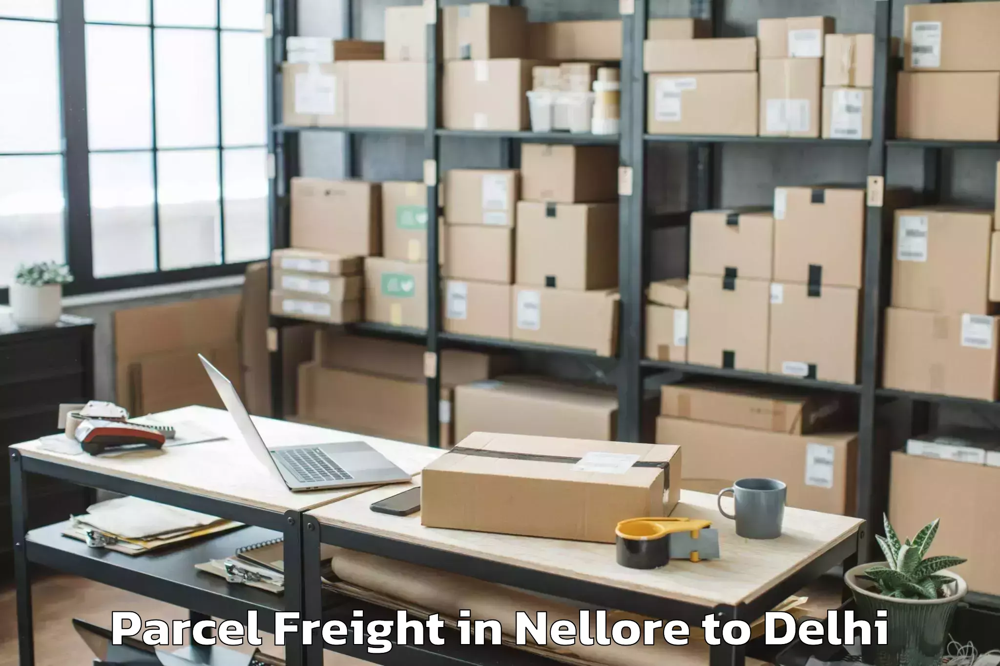 Book Nellore to Connaught Place Parcel Freight